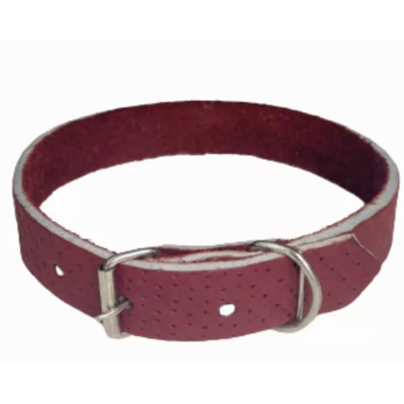 Coleira Darios Pet Couro Bufalo Tresse N°7 - 46CM