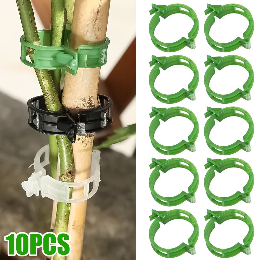 50/100 Unidades De Jardinagem Para Tomate Vegetal/Clipe De Planta Fivela Clipes De Suporte De Plantas Laços Suportes De