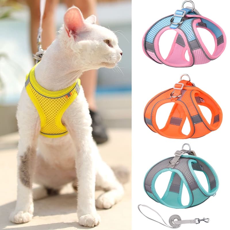 Arreios E Trelas Ajustáveis Para Cães Gatos Sphynx Cat Dog Harness Colete De Coleira Ajustável mascotas Acessórios