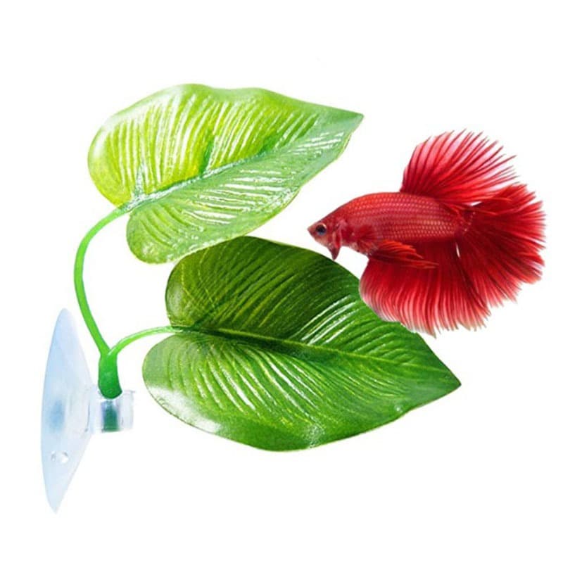 Folha Dupla De Descanso Cama Para Peixe Betta Guppy