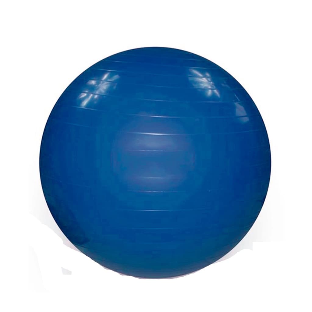 Bolas Suiça 55 Cm Pilates Ginástica Yoga Fisioterapia