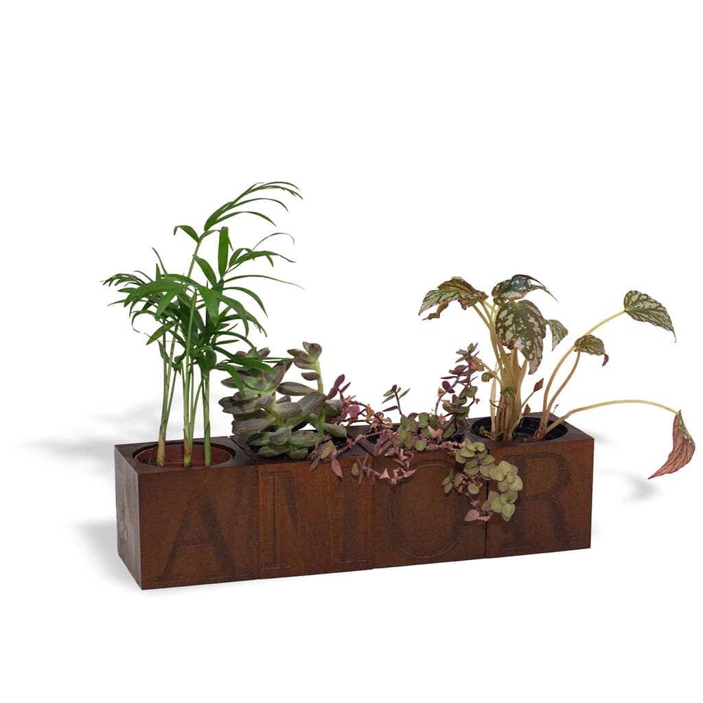 Cachepot para suculentas 4 vasos AMOR