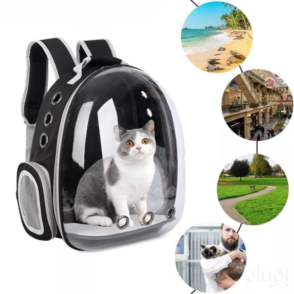 Mochila Pet Visão Panorâmica Astronauta Cachorro Gato Cão