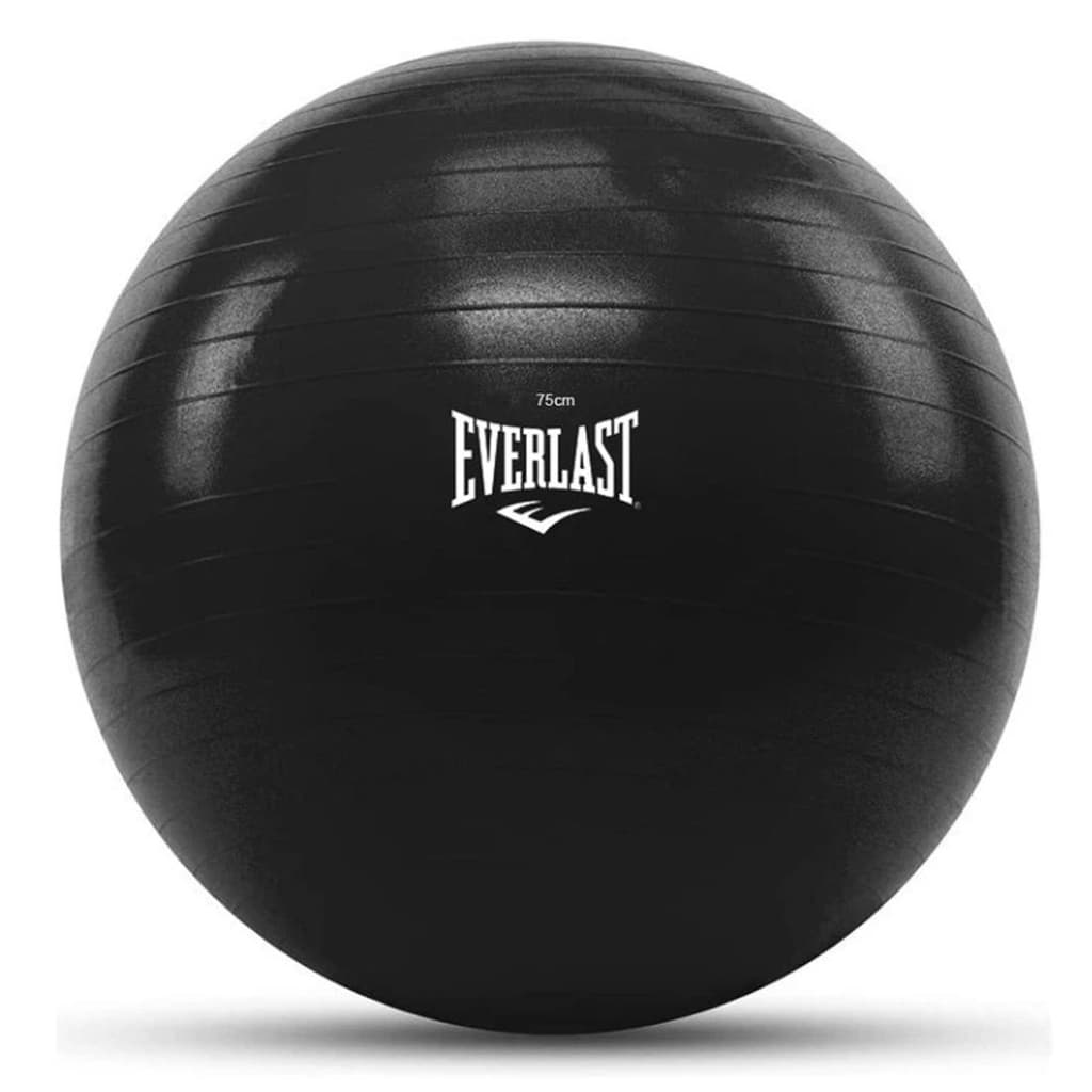 Bola De Pilates 75cm Anti Estouro Com Bomba Everlast