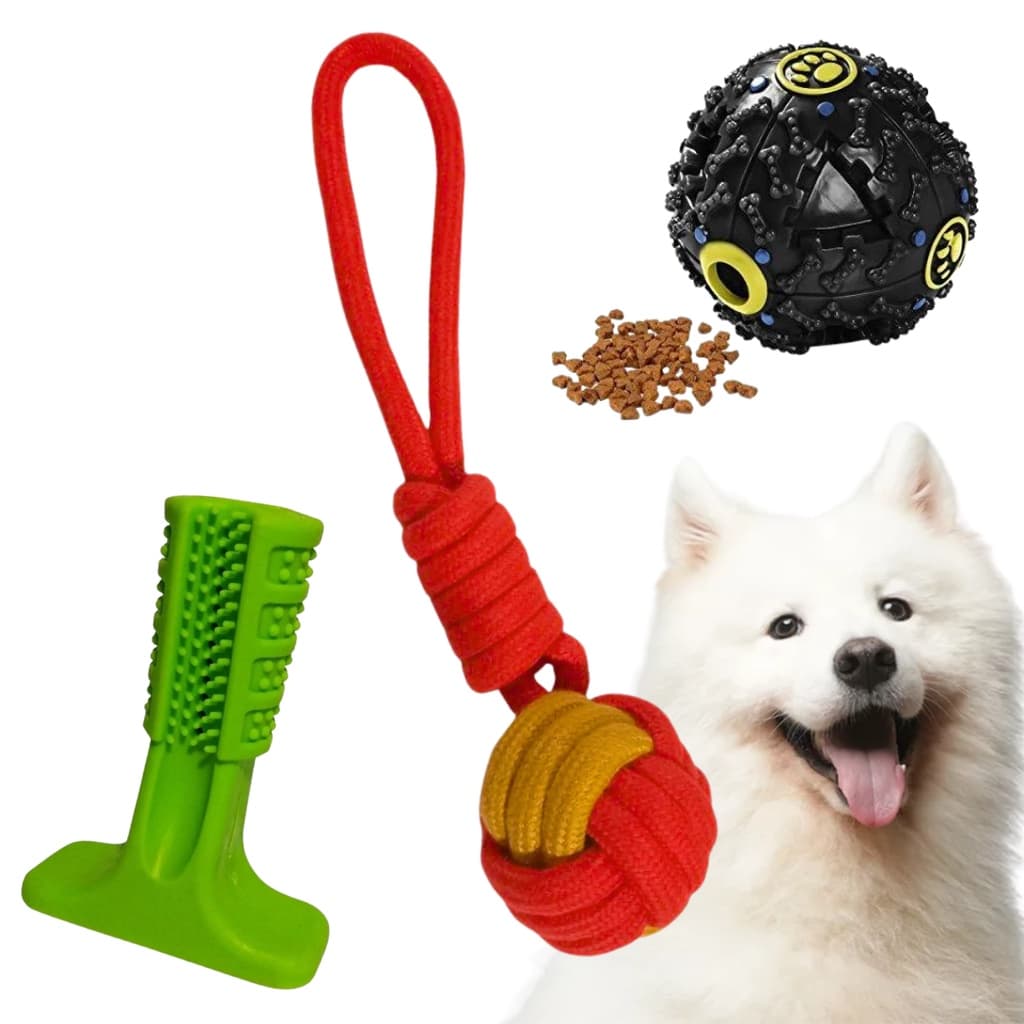 Kit 3 Brinquedos Pet interativos para Cães Bola Petisco Mordedor Puxador Bola Corda Escova de dente Pet
