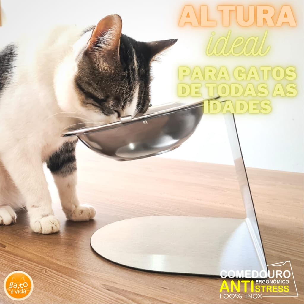 Comedouro Para Pet Simples Gato é Vida