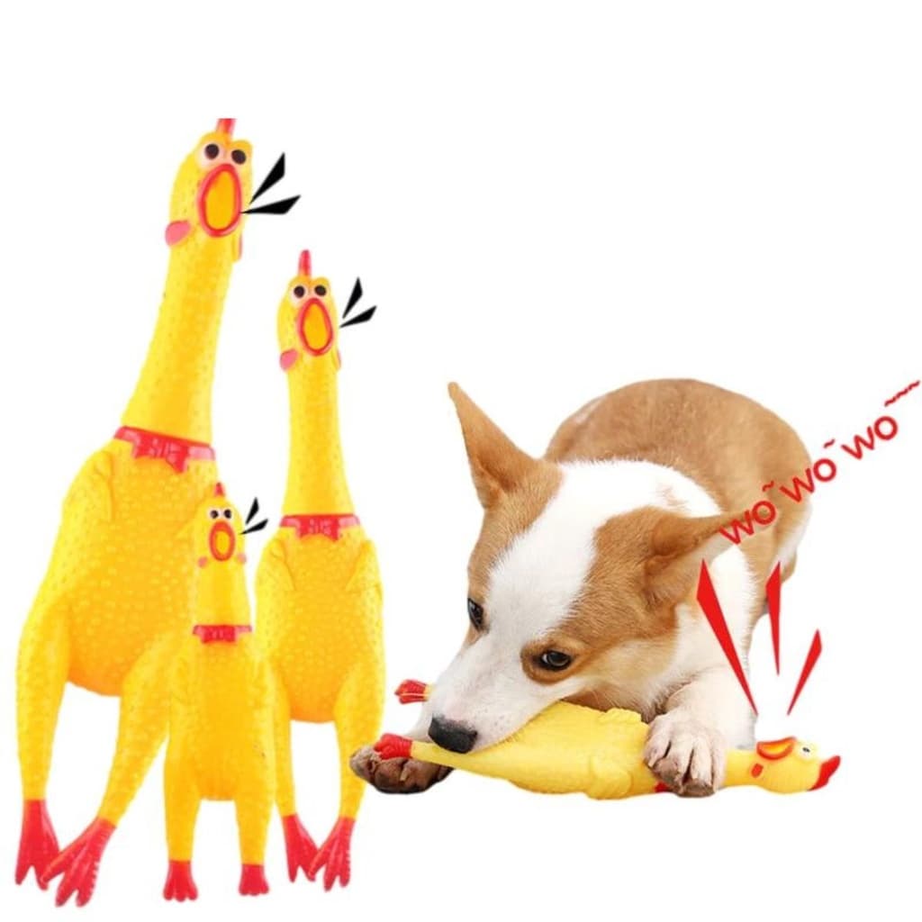 Frango Galinha para Cachorro Cães Pet Mordedor 30cm Plástico com Apito Som Grito