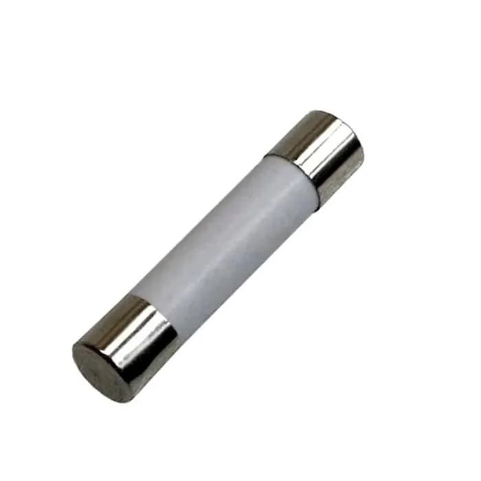 Fusivel 10A  / 15A Microondas Y342