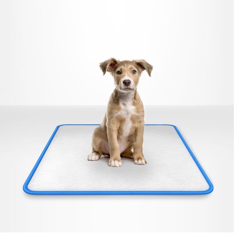 Tapete Higiênico Lavável Para Cães - P 60x50