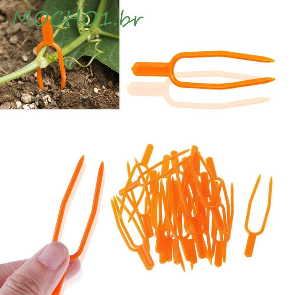Grampo De Fixação Para Plantas MOCHO1 Clip 50pc Garfo De Morango Agricultura
