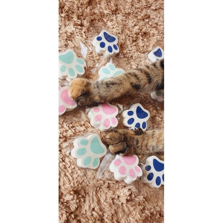 03 Borracha de Patinha (Rosa, Verde e Azul) - Kaz (Kit com 03 unidades)