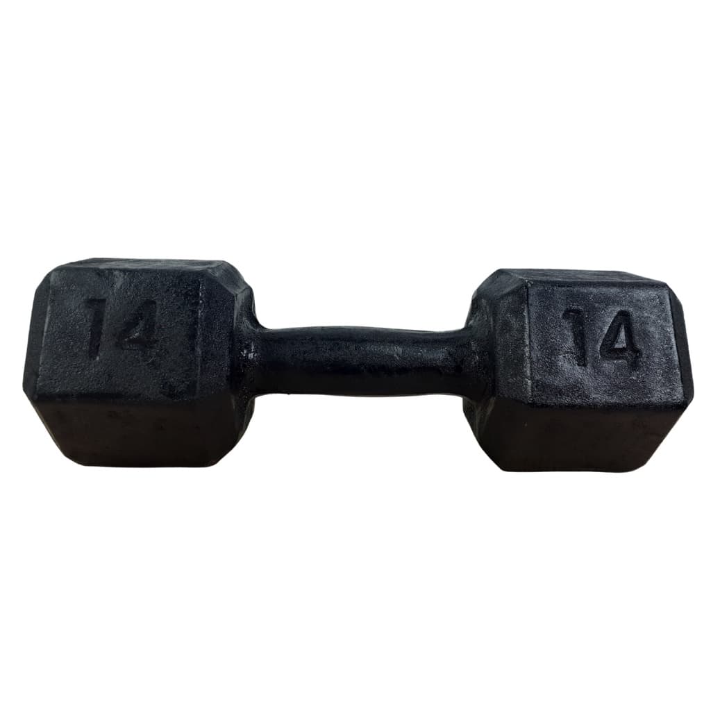 Halter Sextavado Pintado 14Kgs Musculação Academia