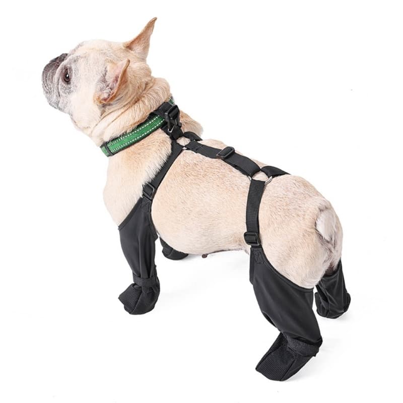 Mojito Cão Sapato Bota Antiderrapante Durável Anti-Sujo Filhote De Cachorro Sapatos Pet Impermeável Respirável Ao Ar Liv