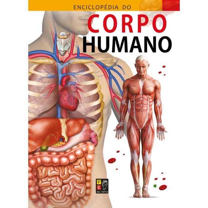 Livro Enciclopédia Do Corpo Humano com poster = editora Pé da Letra