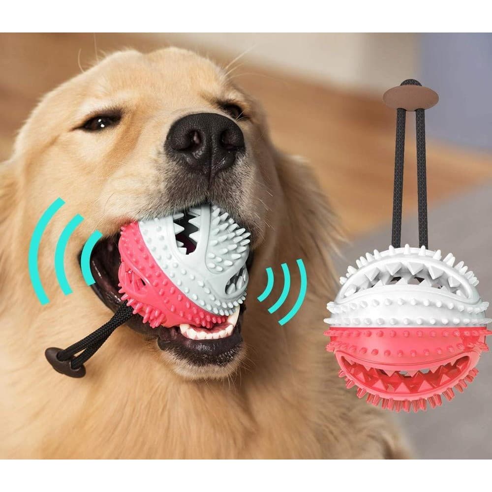 Brinquedo de Morder para Cachorro com Som Bola de Borracha com Corda e Porta Petisco Reforçada