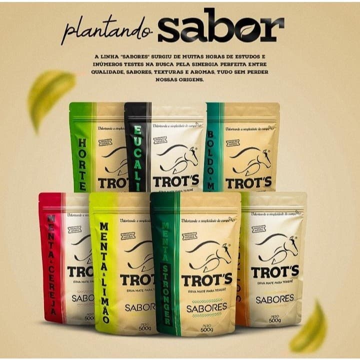 ERVA MATE TERERÉ TROTS - SABORES