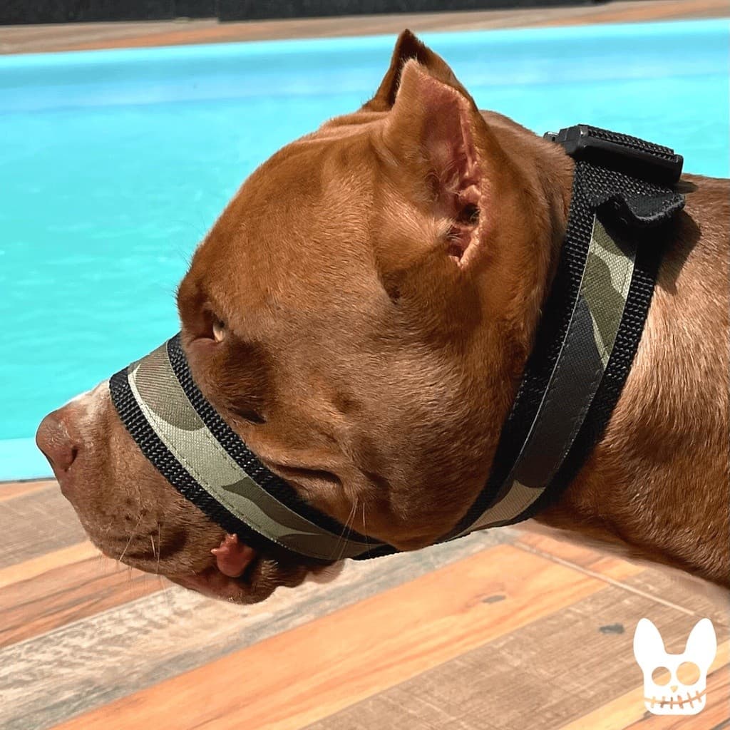 A Melhor Focinheira Pet Do Mercado Mais Confortável E Segura Para Cachorro