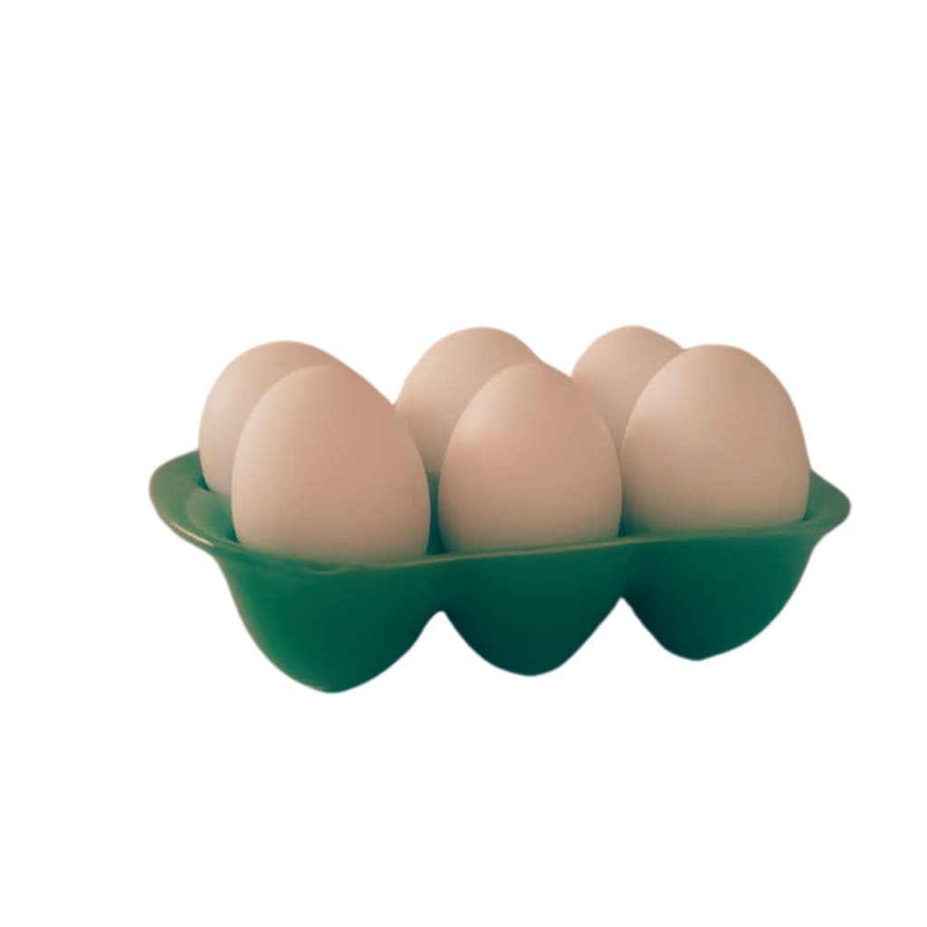 Porta Ovos Elegante e Funcional