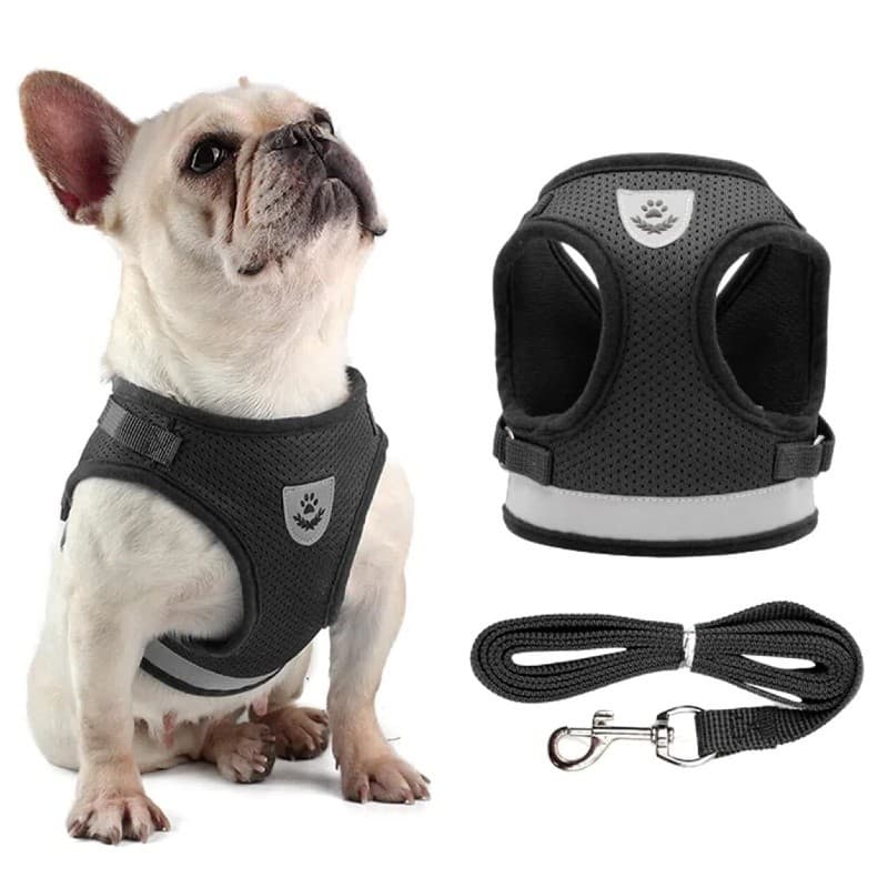 Coleira Peitoral Cachorro e Gato, conjunto de guia + coleira tipo colete para pet pequenos e médios
