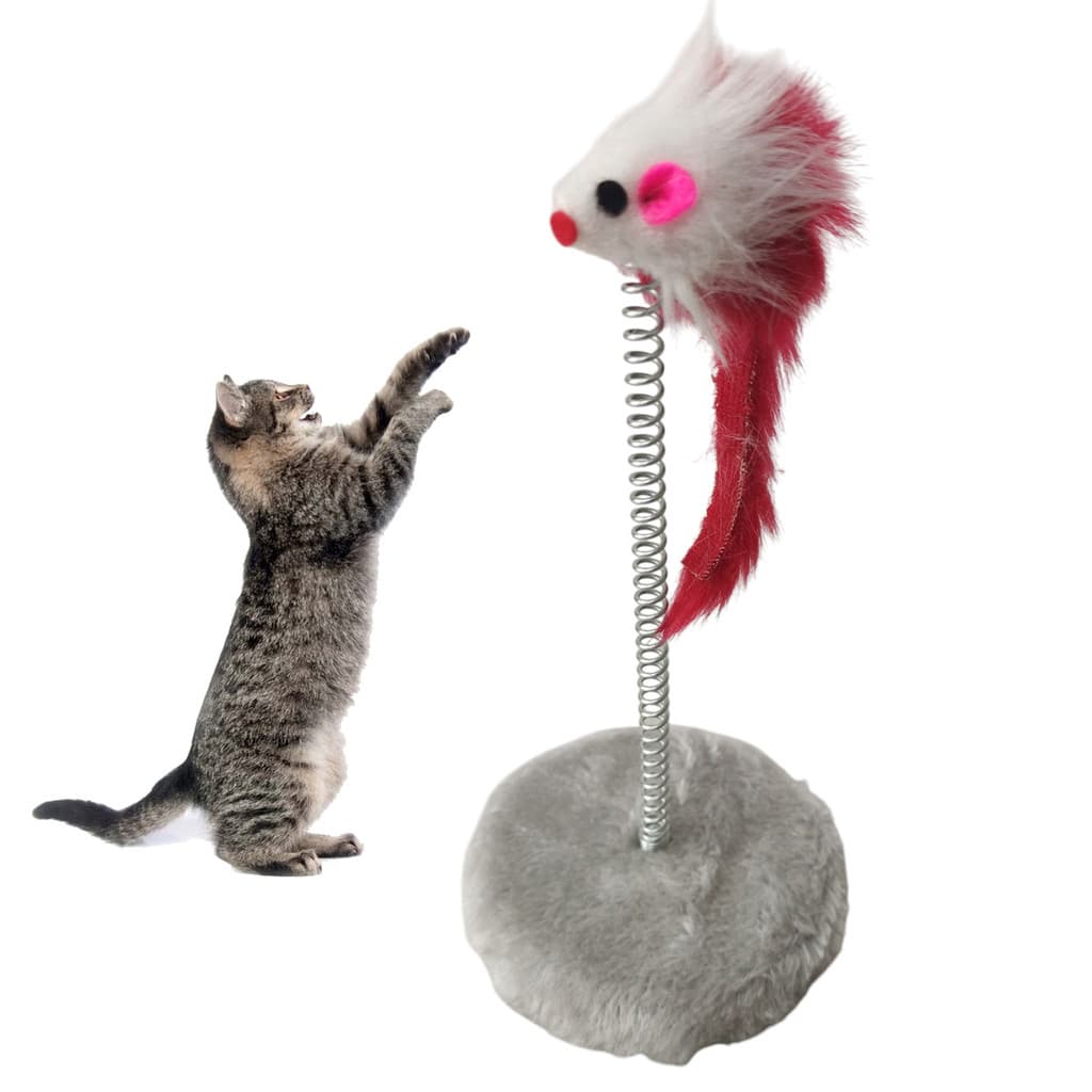 Arranhador Pet Gato Mola Ratinho Guizo Brinquedo Interativo Pelucia Macio Lazer Felino Animal de Estimaçao Diversao
