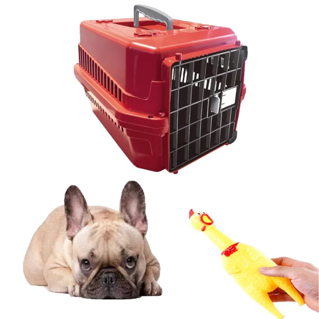 Mordedor Galinha Pet Interativo + Caixa Transporte Pet N2