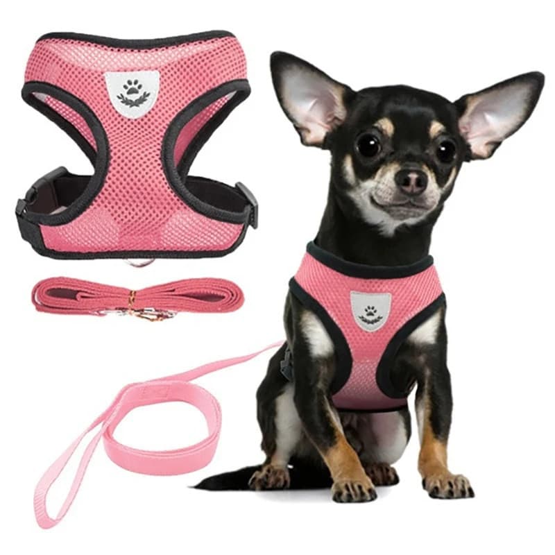 Coleira Peitoral Com Guia para Cães E Gatos Colete Respirável Regulável Super Confortável WL-1199