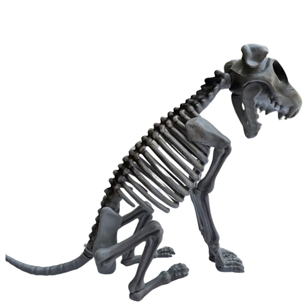 Enfeite Cachorro Esqueleto Cão Halloween decoração festa Decoração, Estudo, Terror, Escola, Plástico, Festa