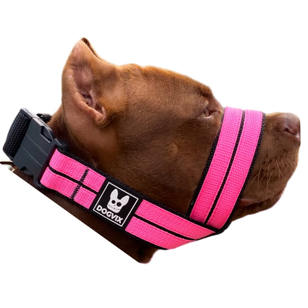 Focinheira Respirável Pet Ajustável Para Cães Pitbull Regulável Confortável