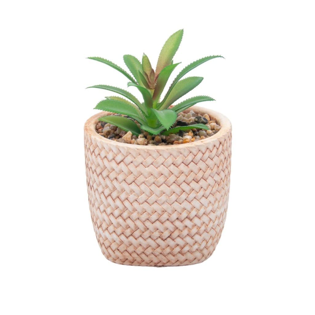 VASO CACHEPOT DE CERÂMICA COM SUCULENTA TRANCADO 10CM X 10CM X 15CM