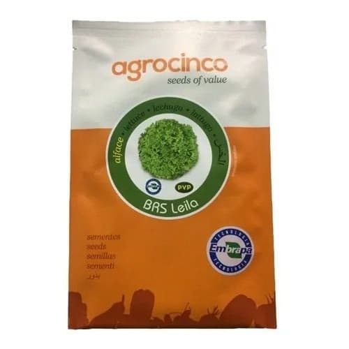 Alface Leila 1.000 sementes - Agrocinco