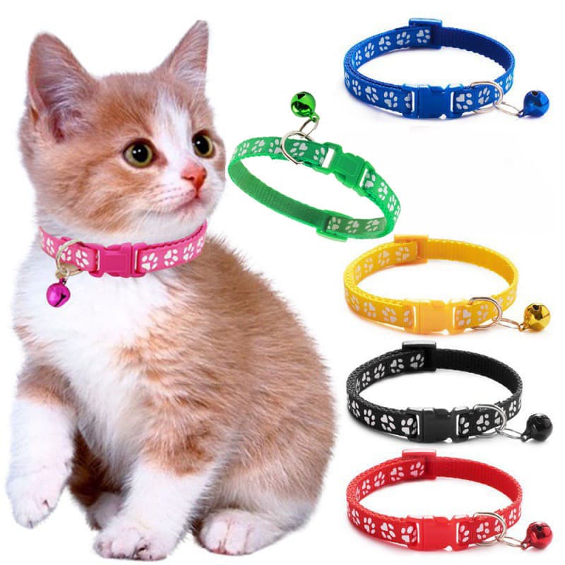 Coleira Teddy Ajustável para Cães e Gatos com Sino