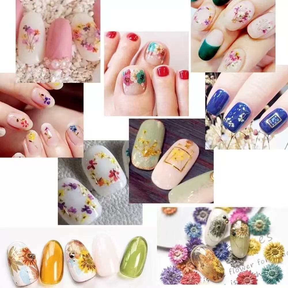 Envio aleatório Caixinha com 12/ Flores Secas Encapsulamento Decoração Unhas De Gel
