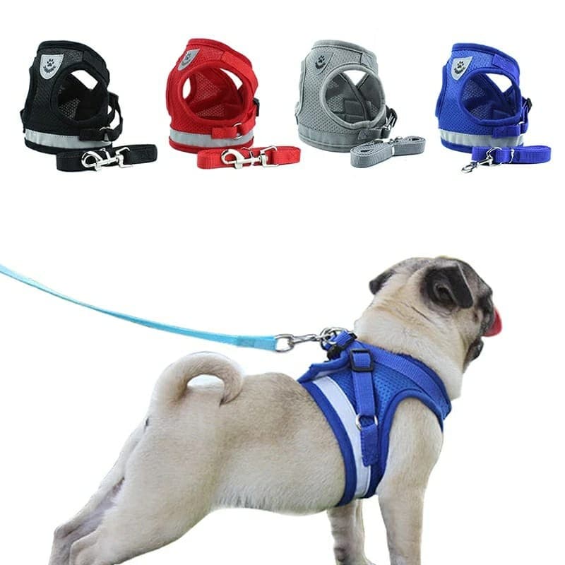 Peitoral + Guia para Cachorro Coleira Para Caes Gatos Colete Regulavel Super Confortavel Pet