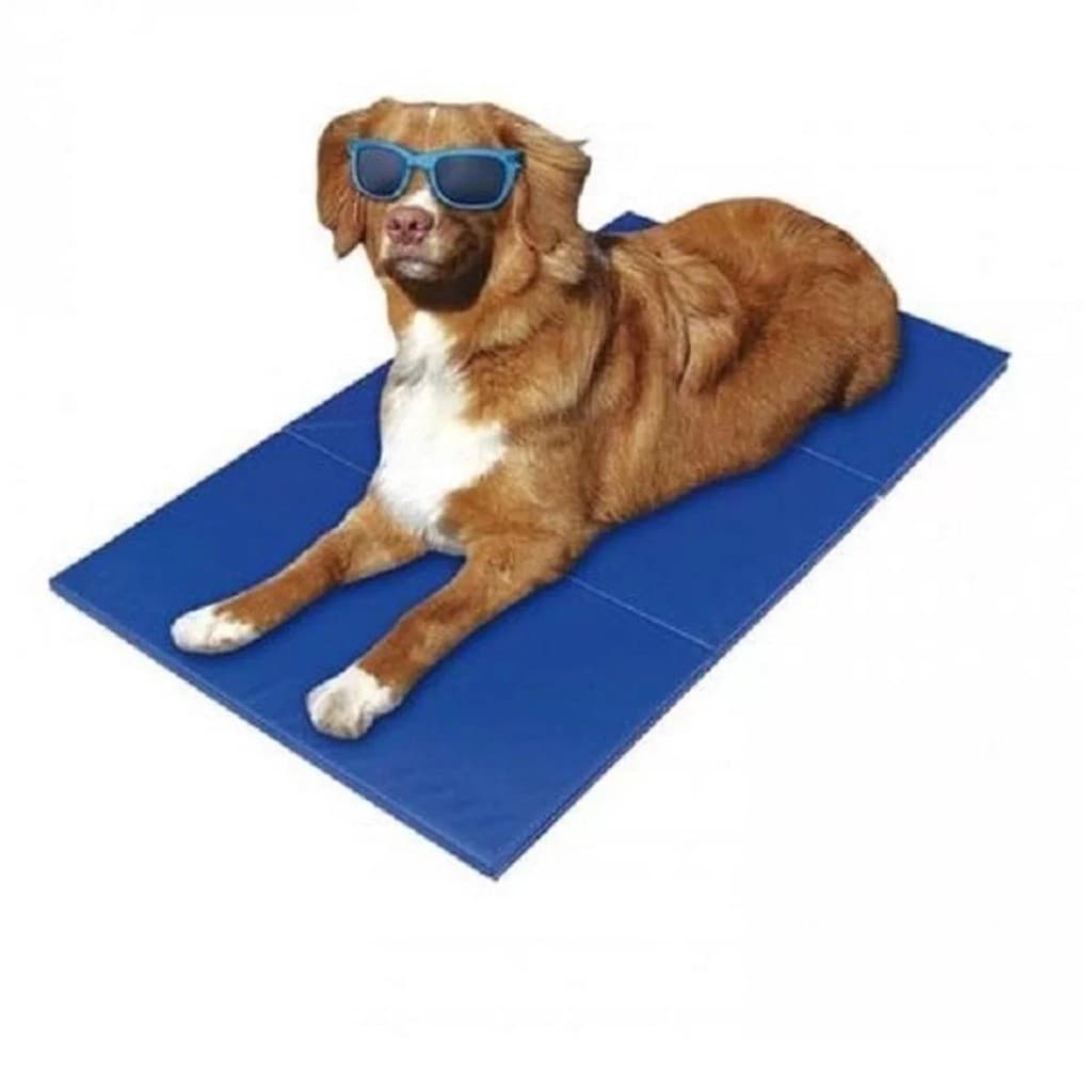 Tapete Gelado Pet Para Cães E Gatos 50x65cm - Estampas Sortidas