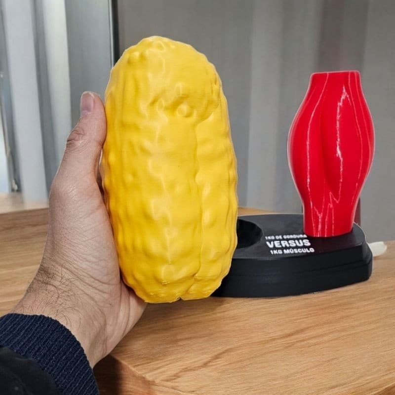Kit Modelos representativos 1 kg de gordura vs 1 kg de músculo. Academia, medicina, saúde, educação CEO 3D PRINTING