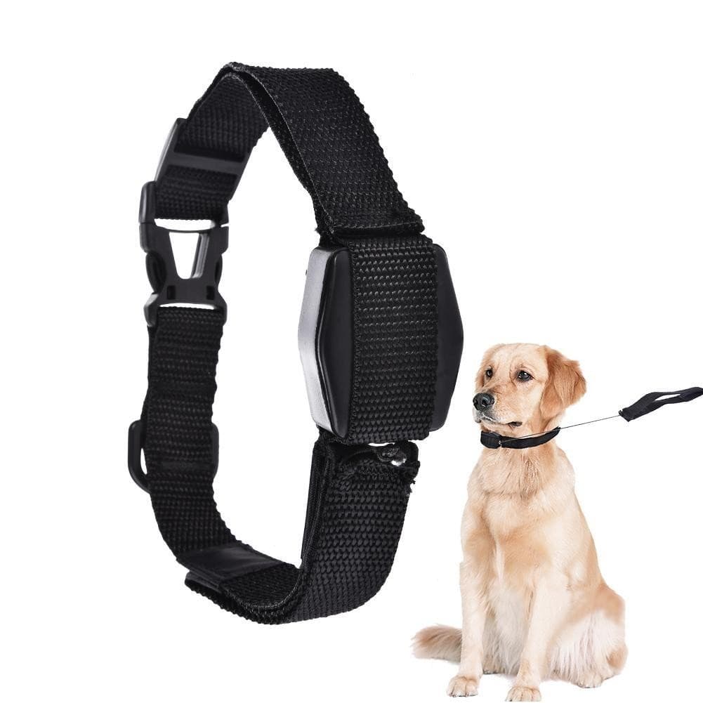 COLEIRA GUIA MAGNETICA 2 EM 1 CACHORRO PET CAES GATOS ADESTRAMENTO LUCKY LEASH