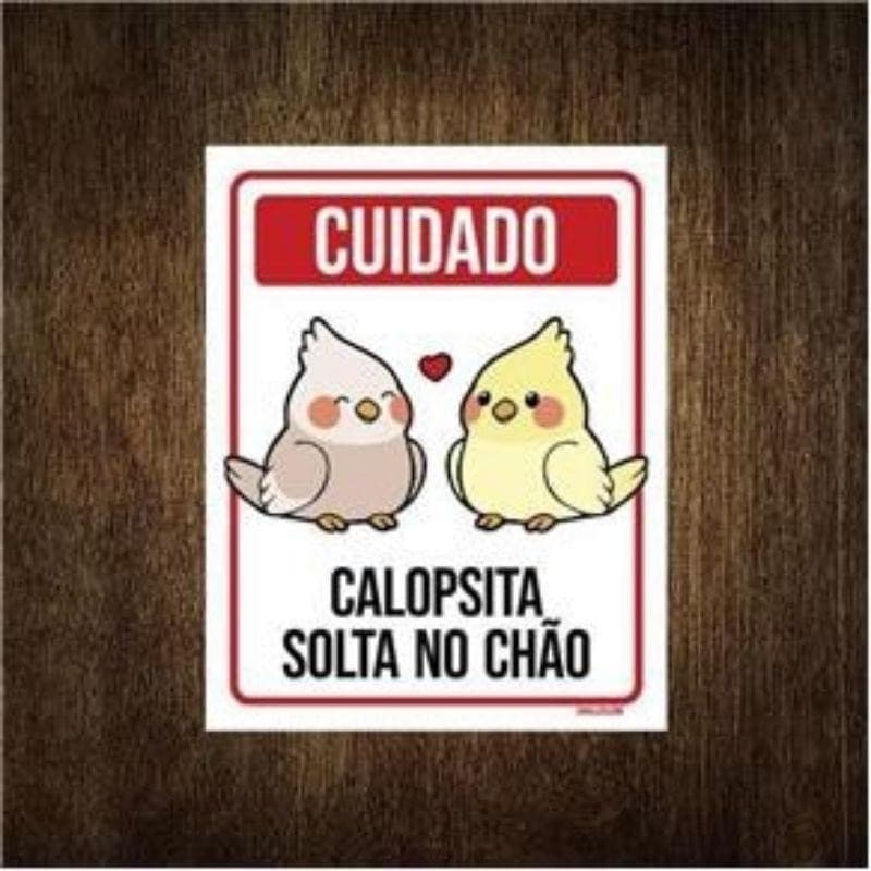Placa Decorativa Cuidado Calopsita Solta No Chão 20x30