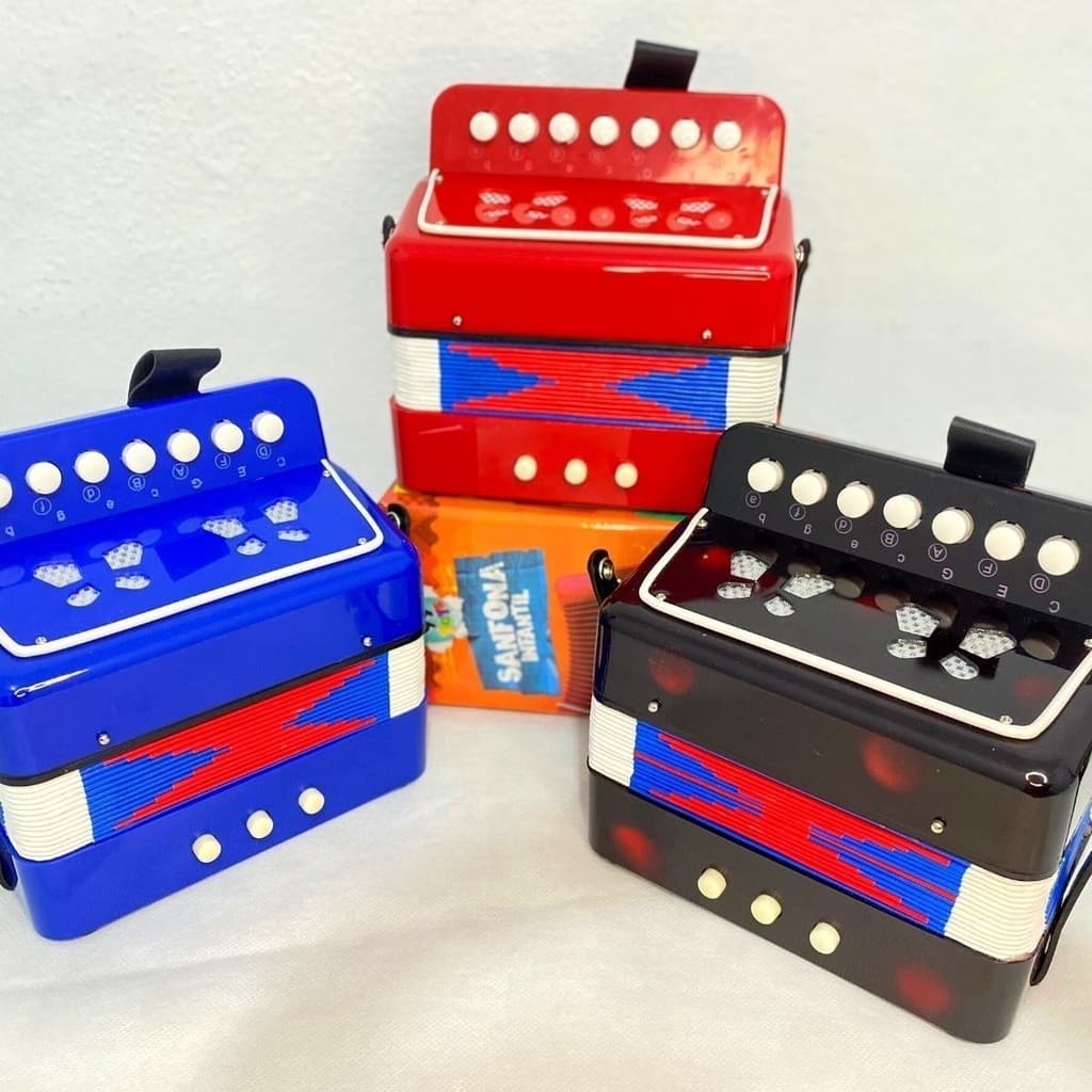 Acordeon Sanfona Gaita Acordeão Infantil Semi-profissonal Envio Imediato