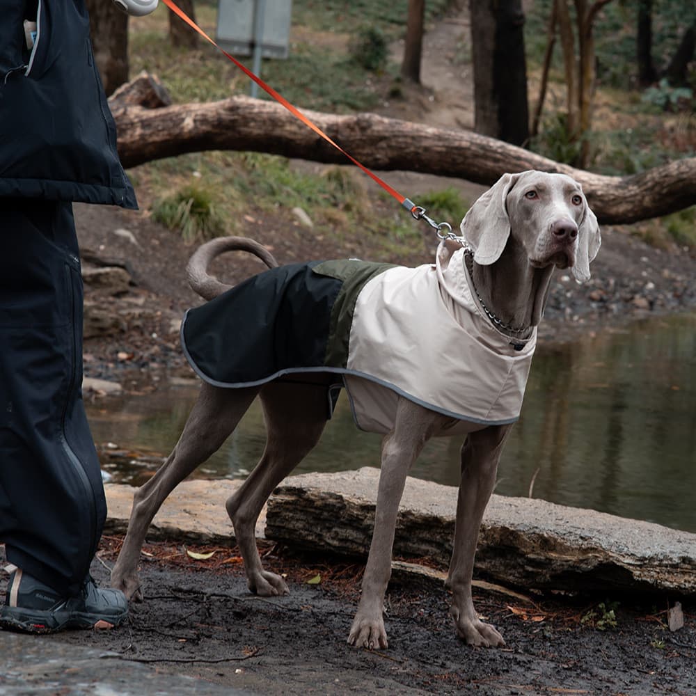 Capa De Chuva Para Cães Ao Ar Livre Roupas Grande Casaco Impermeável E À Prova De Vento Respirável Animais De Estimação