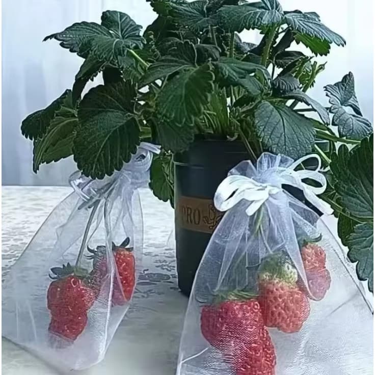 50 Sacos De Proteção De Fruta Anti-Pássaro, Morango (9x12cm)