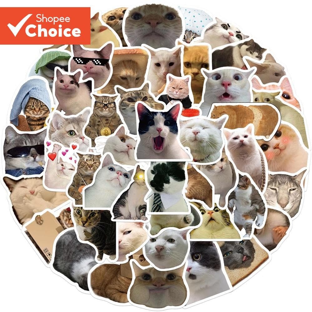 Adesivos Hilariante Cat Meme 50 Unidades-Perfeitos Para Laptop , Skate , Decalques De Capa De Telefone
