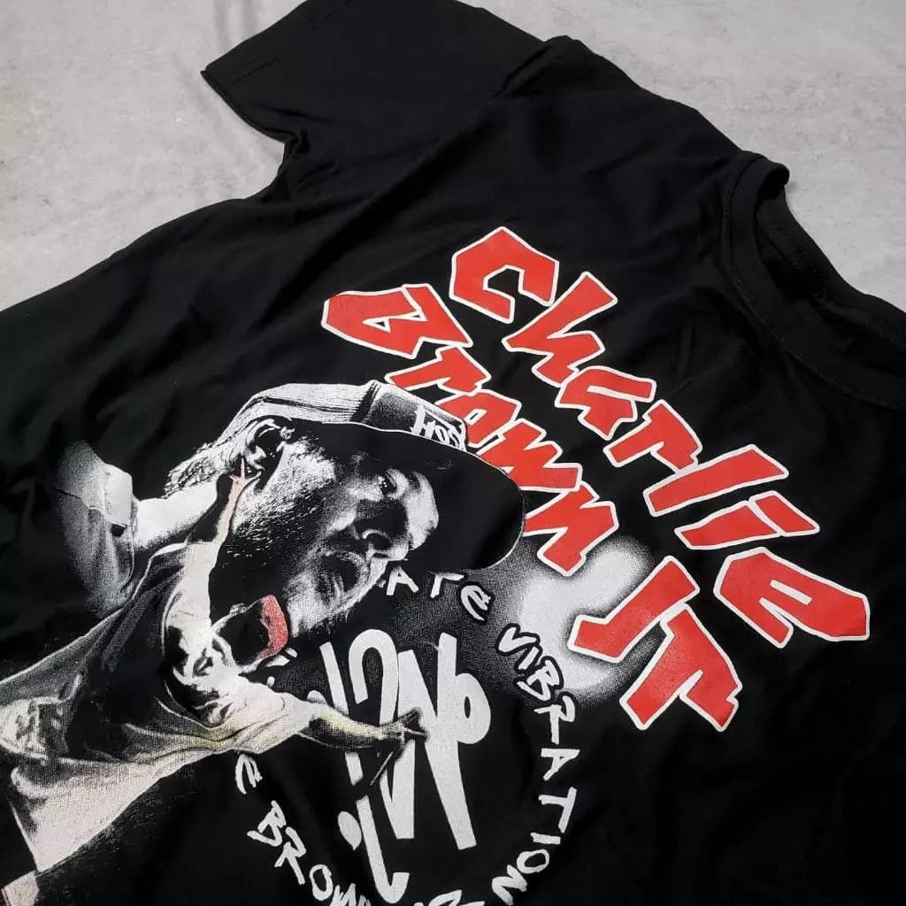 Camiseta Charlie Brown Jr Chorão Preta Masculino e Feminino (Unissex) SK8 Rock MPB