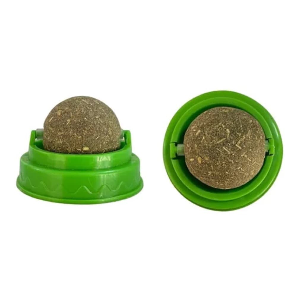 Kit com 4 Catnip Boton – A Erva do Gato que Estimula e Relaxa!
