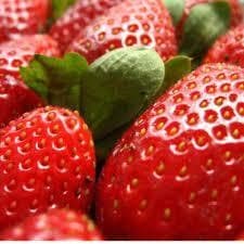 200 sementes 400 sementes 1000 sementes 2X Sementes de Ornamental Topseed Silvestre Carnudas Vasos Hortas Flores
