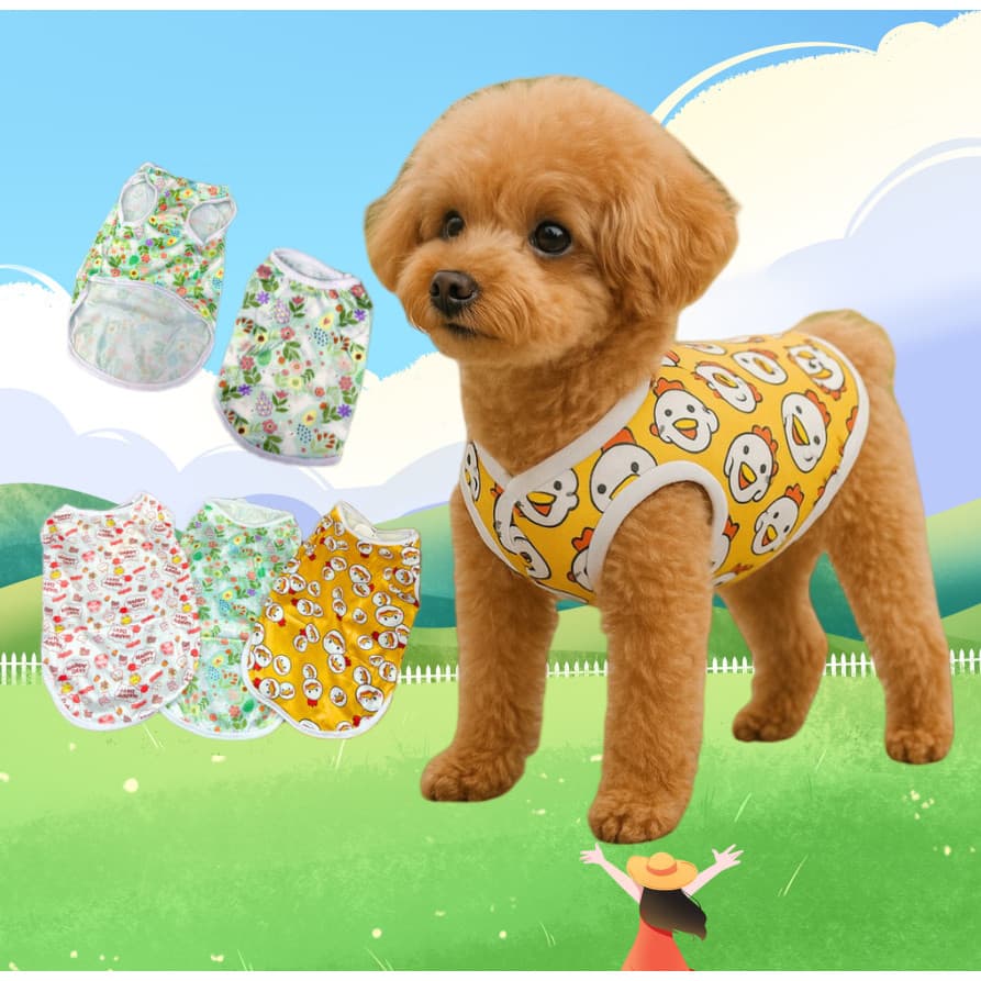 Roupa Pet Leve E Estiloso Look Colorido E Fresco Para Passeios Ao Ar Livre Estampa Divertida