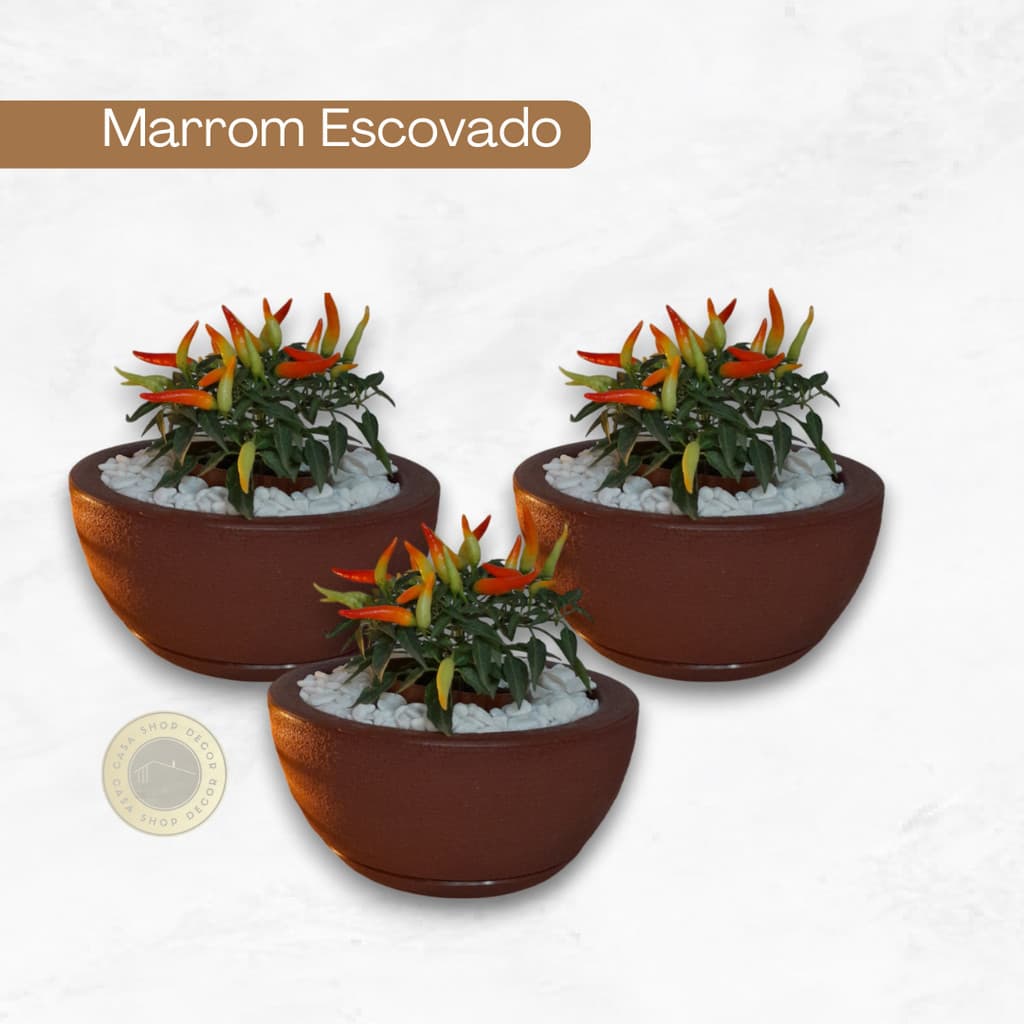 Kit Com 3 Vasos Bacia Polietileno Para Plantas cactos e Suculentas Nº1 (26x13) Com prato
