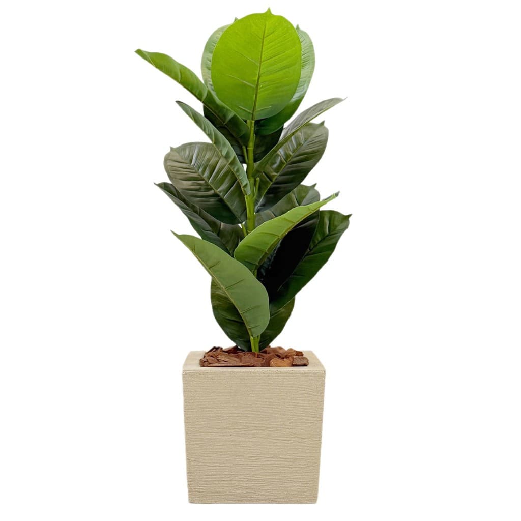 Planta Ficus Artificial Com Vaso Quadrado Completo Casca