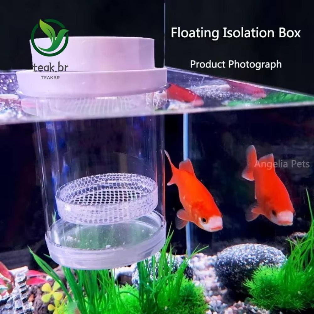 Caixa De Incubação Flutuante TEABR , Isolamento Para Criação De Peixes De Malha Plástica De Guppy De Camarão , Criador D