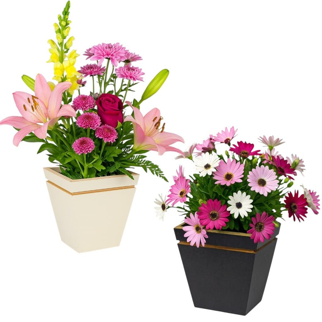 Vaso Cachepo De Plantas Decorativo Pequeno Quadrado Mdf 11cm