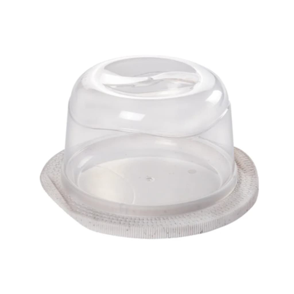 Queijeira Tear com Tampa Transparente e Base Cinza – Prática e Elegante